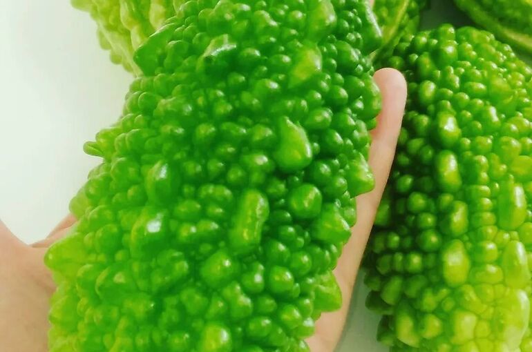 image1 - コピー (5)